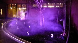 0087995001382061099_2