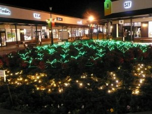 0149291001381993631_1