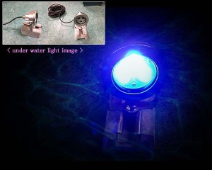 0156096001393221903_1