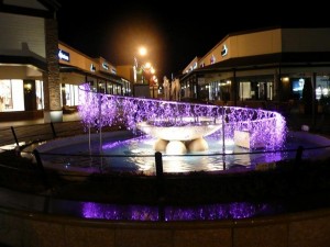 0244424001381993859_2