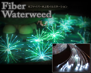 0248052001394421871_1