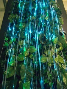 0256792001381903962_1