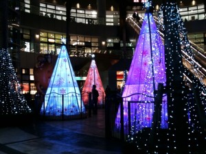 0374250001381988357_3