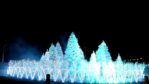 0393990001381994678_1