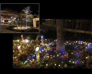 0445597001392619100_4