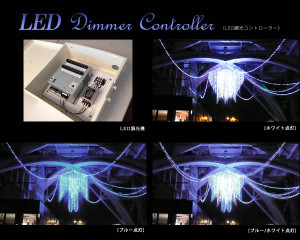 0504433001385545947_5