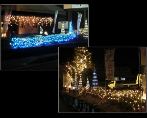 0546536001392619099_1