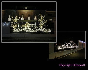 0595496001430212670_3