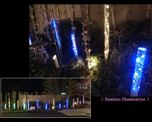 0679605001392622614_3