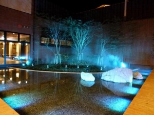 0709347001382061098_1