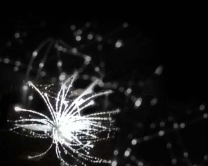 0771643001394610749_3