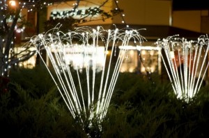 0835357001381995693_1