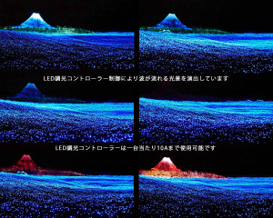 0989235001385546753_2