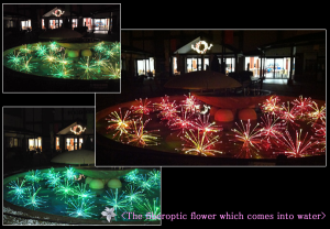 201302081114579a8ce967ef