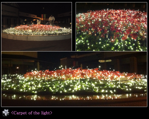 20130208111457ce2a26d922