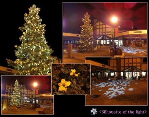 20130208111457e3e7646dd1